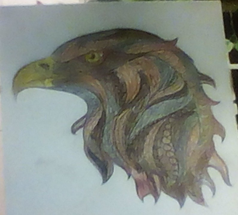 64049c8927d3171683ca55a29ff23b655333be59.png