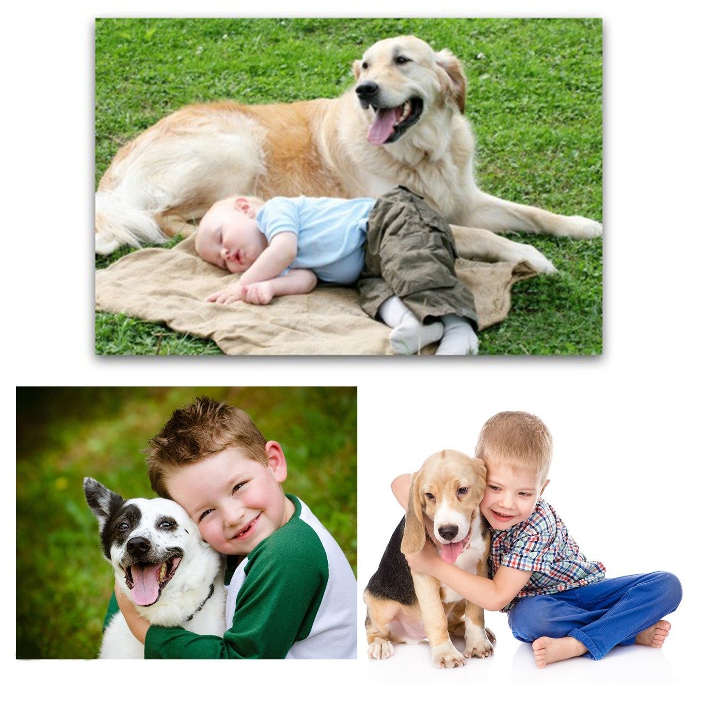 10919fdd987a19de68197ba40a6e9655f4cbaa49.png