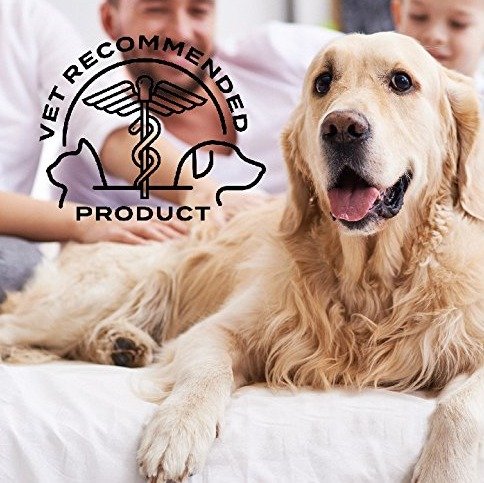 123b002f06418e20977ade95354210f0300751d3.png