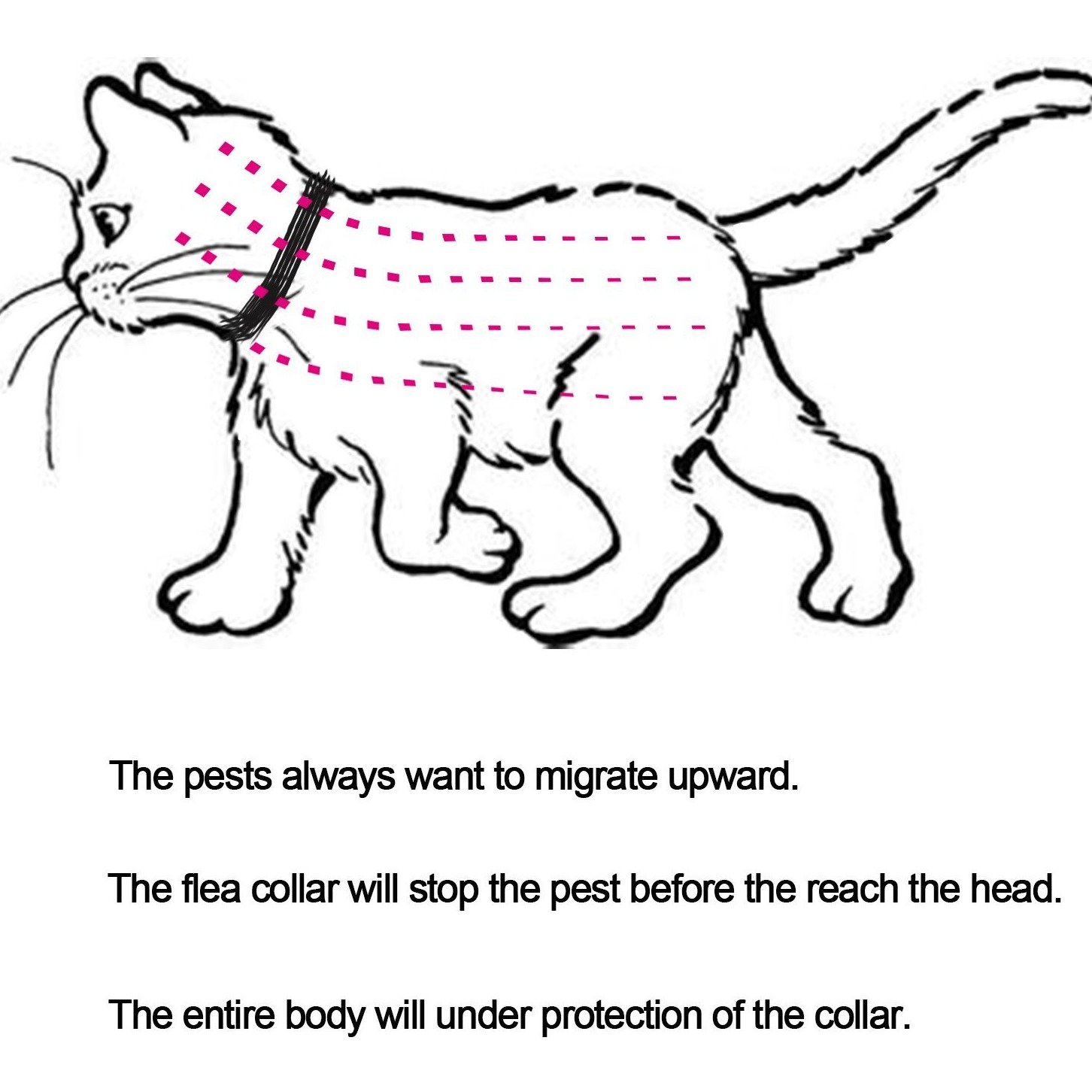 1a635c322681bd5b68f38cc6c23ca5e75189b385.png