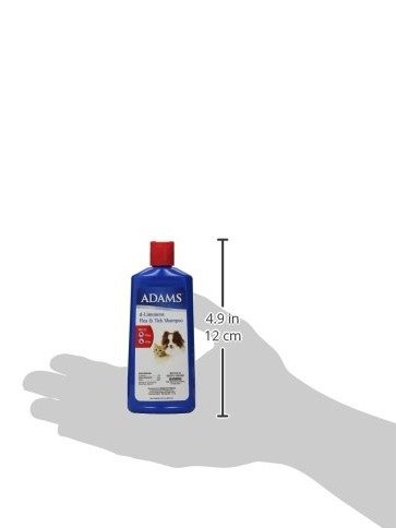 2475c101b50537ae4cf16b378c7baaabadf5ec55.png