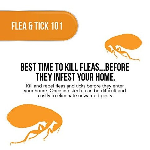 385be4e824fc54af3de59ce4b7a089a4ee4efc80.png