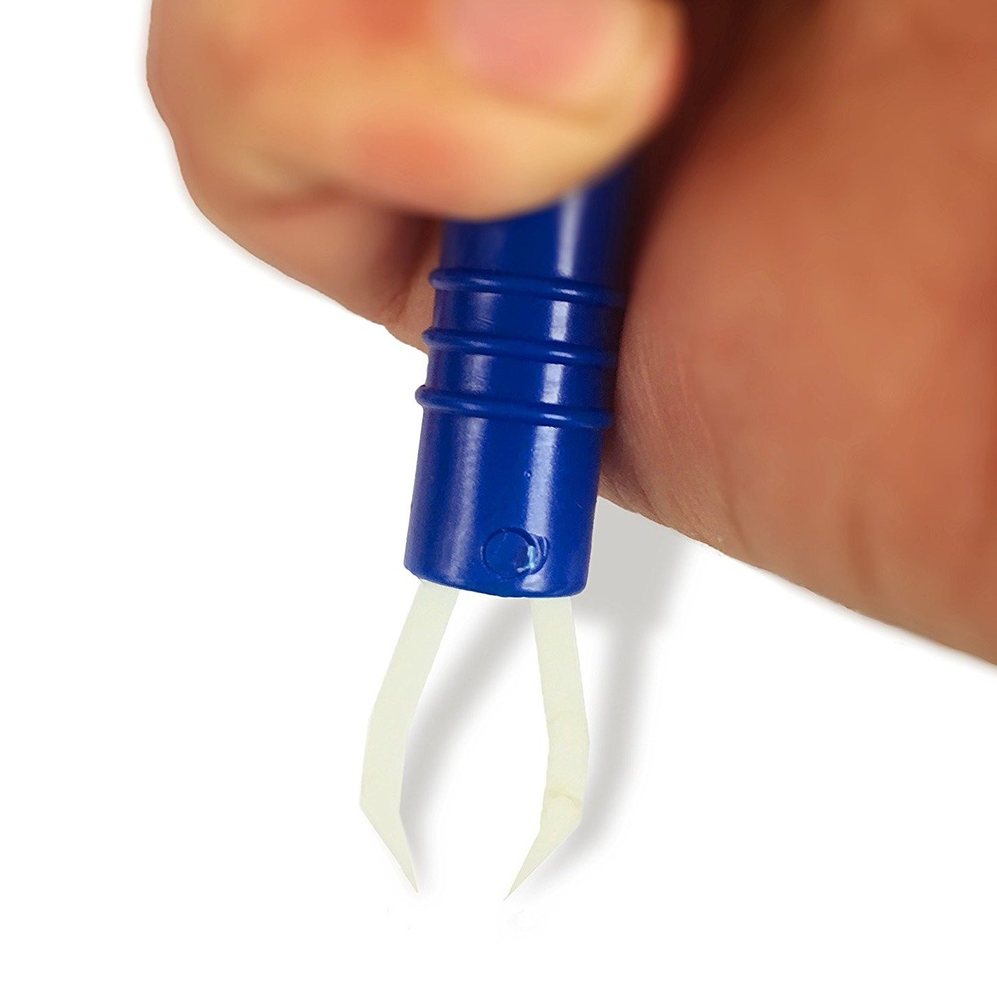 5f3e77285bbbdd2cd86b036034cd25a6dfe6a859.png