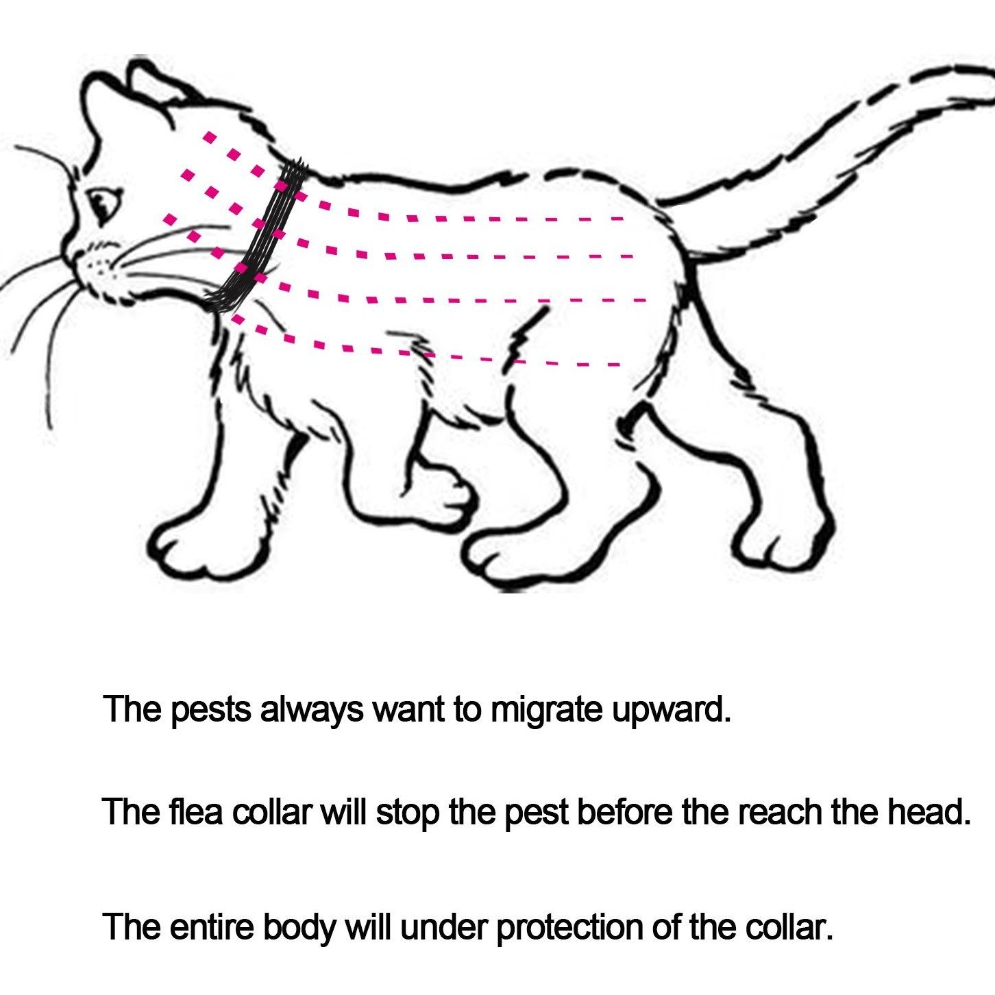 6f46cc461dd5045d2408e95fd198939666e8b87b.png