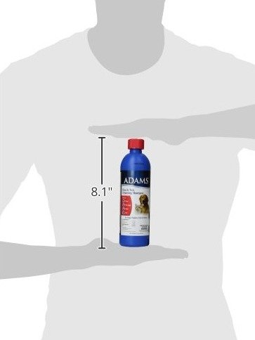 92f47c77df1bb2b964eb67fb7da33b36f3b94bf4.png