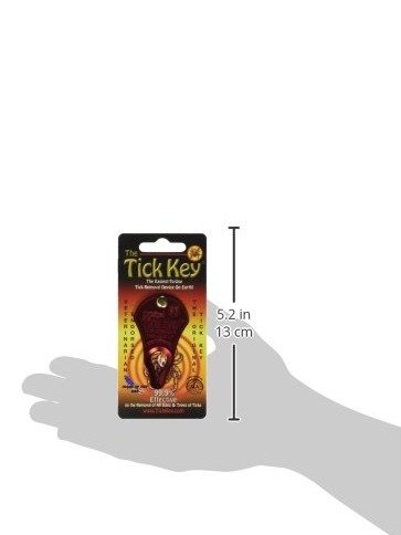 ad8597624a785b8dcc9cee1187f7ebb91e60a929.png