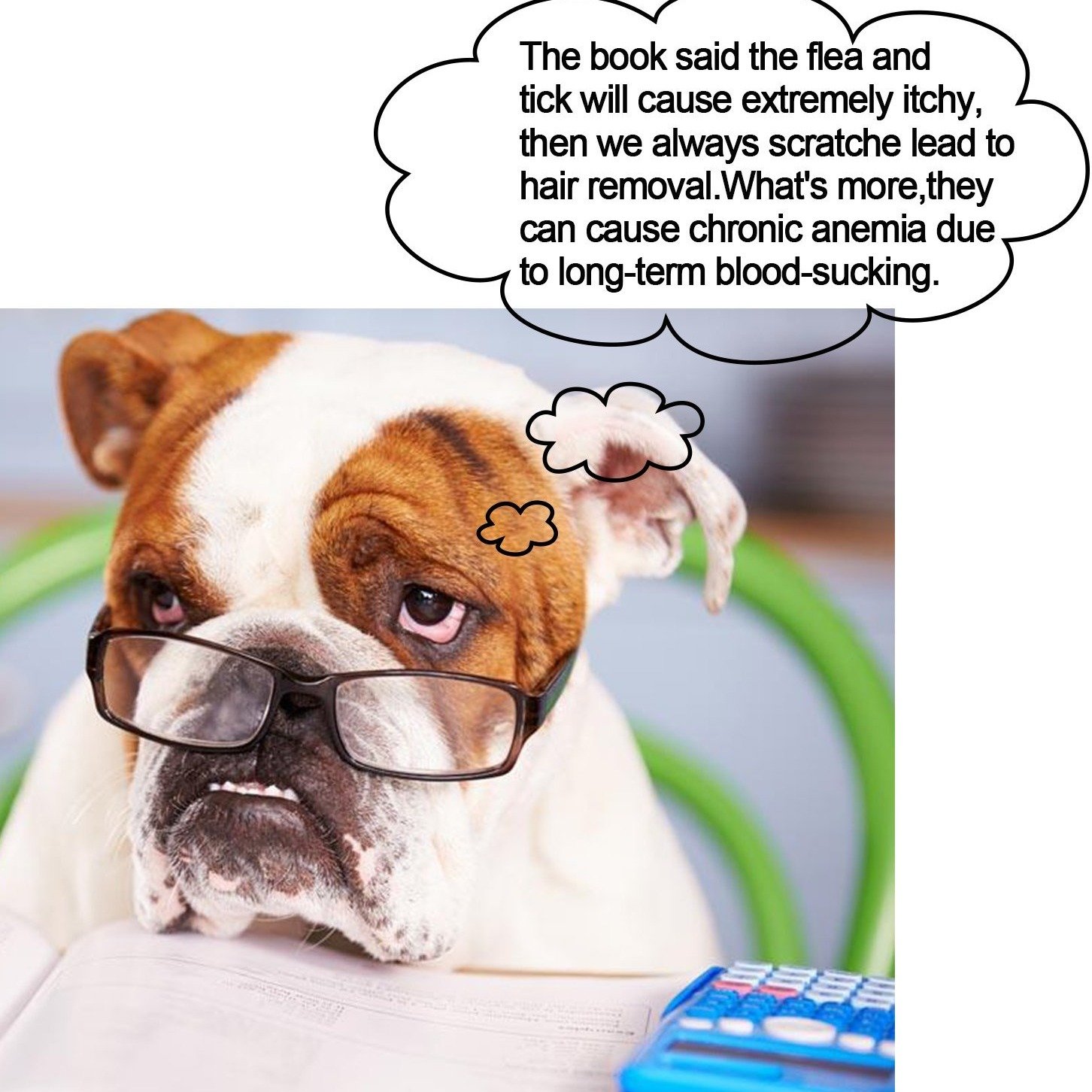 b8cec8490527a85dd92c300849e71be4a124303e.png
