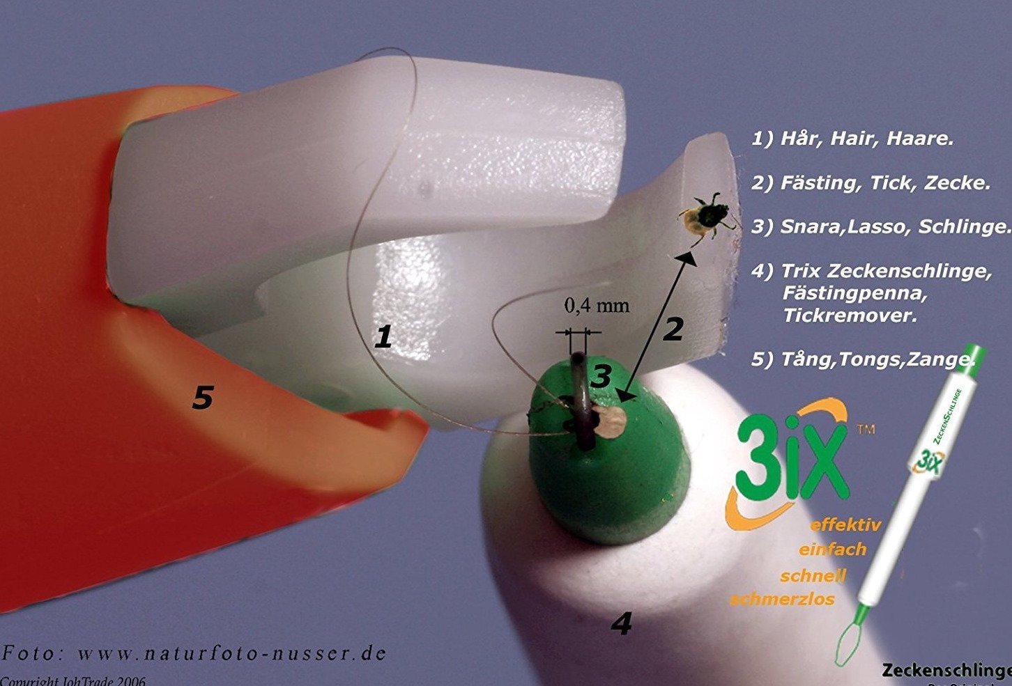 d2a9568b2488080a9c42db2849f7f2844dba5dc1.png