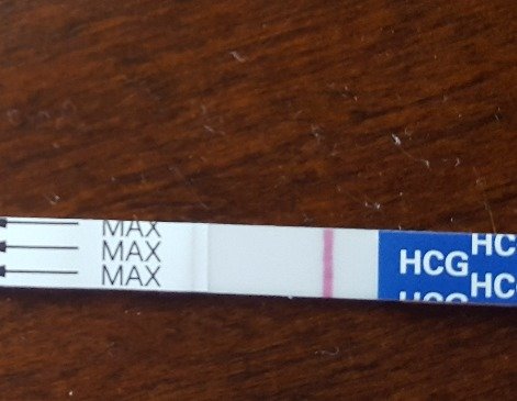 0755a7ec8bf2d374852a9e79fd14ff5b79ec75b5.png