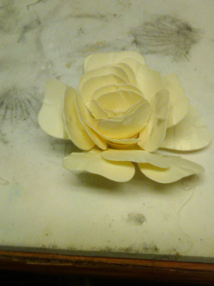 b65799f5120afb19430ec3be9c54f64b0c1ca2b9.png