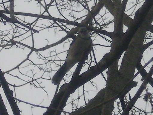 82490f2be33cfc153e19de6c2f263a6b0ec49c8d.png