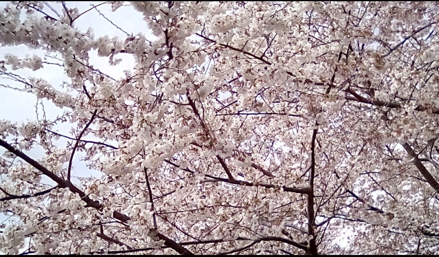 7f8a30bd44ef148144e178e54b6f3716299d09f6.png