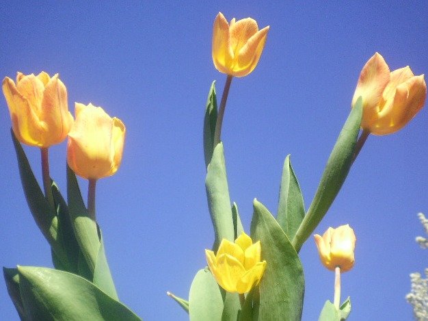 33f85afe3d6f5a814dbacae77ea3cc00519e7fb8.png