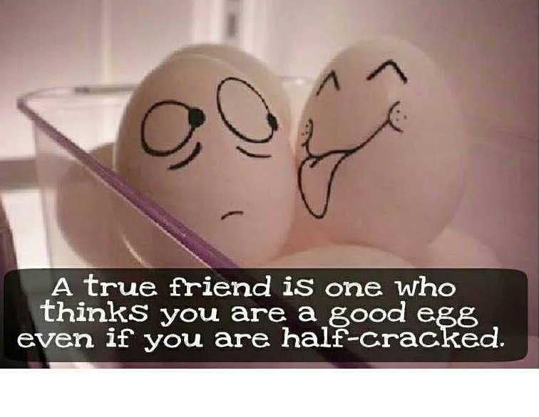 990ba5af5a7b8a4a0eb75feede213edd15179014.png