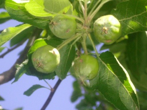 29fdb28f1a743d3d5218ac5cba636f34bfe5a78e.png