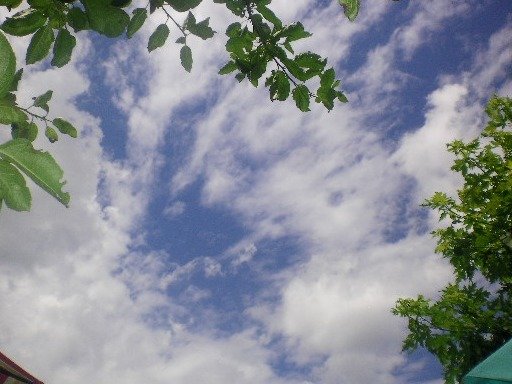 3536bda7e33d3d1837ab7936cf258c2c0e61d567.png