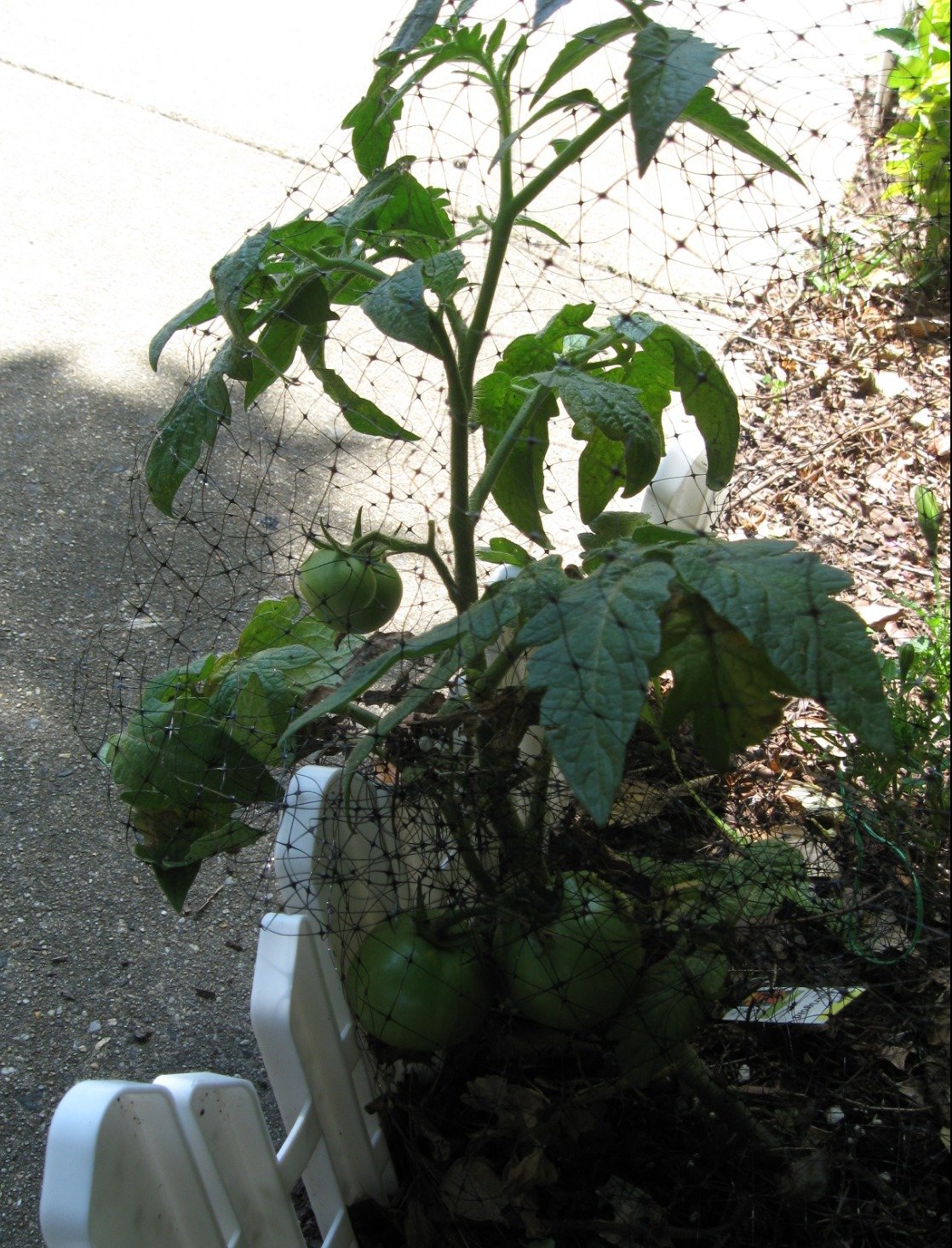 4a2214ce98114804d20c0eb44a8ec8177f4e0f35.png