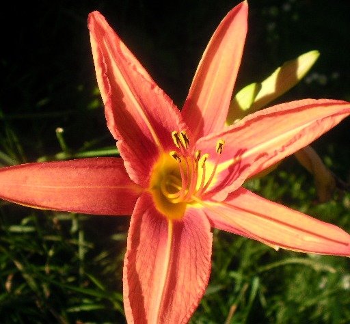 7ce4e41d0c4e5f94878a8bbf1a3ec9c0eca0ebdd.png