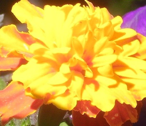 d3f7ab94b931f3216e8ffbf4948cb18902bf5e5c.png