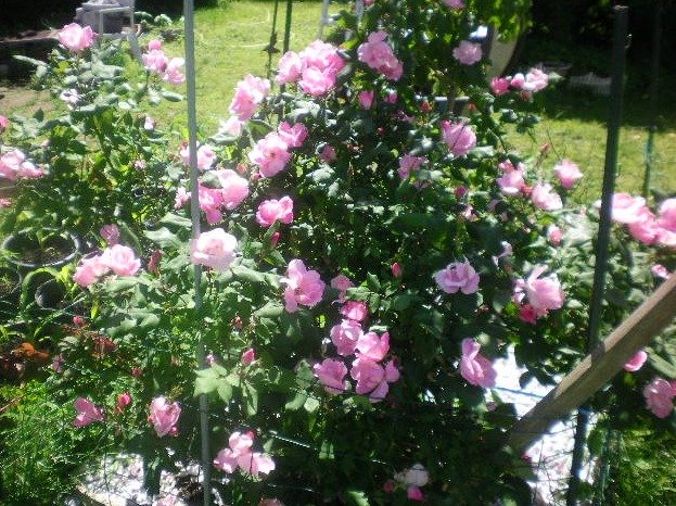 fbf8f232863e812924d54c78ef331322c65f3b74.png