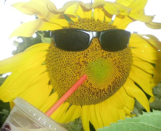 971416569160d392a9a46a94618a8ae9cce672a5.png