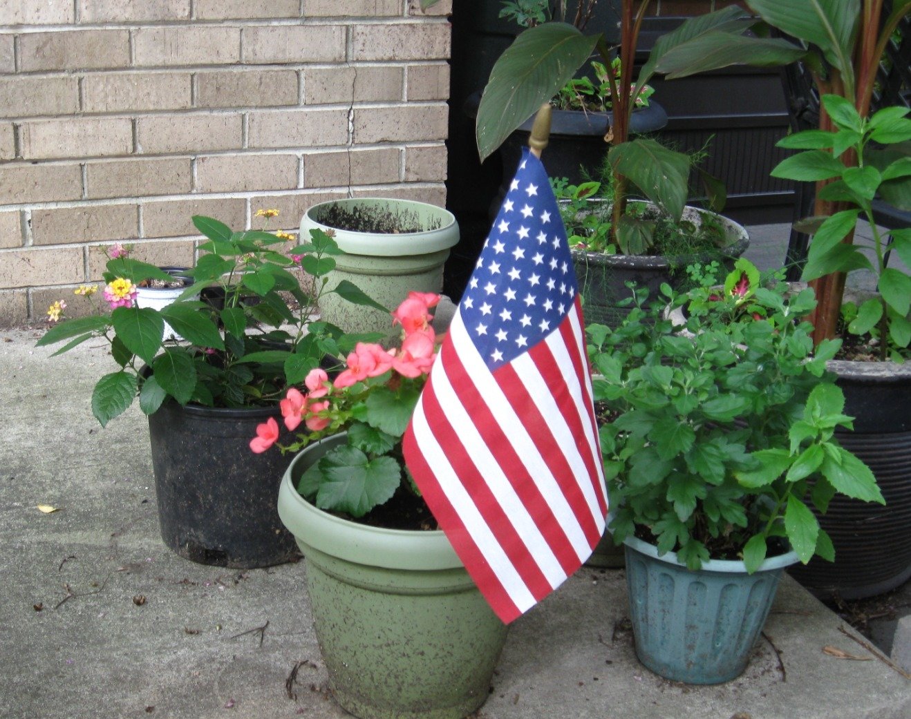b24796e0dd101b297e4cb95bcbddfed4709e6204.png