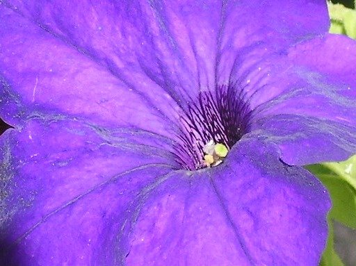 0d2dce42f4a49ffc96518066c2043de5a4228b9a.png