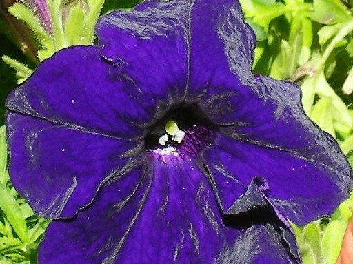 1fde861bf8d31012589e0a07f177c5a8bf12f1a0.png