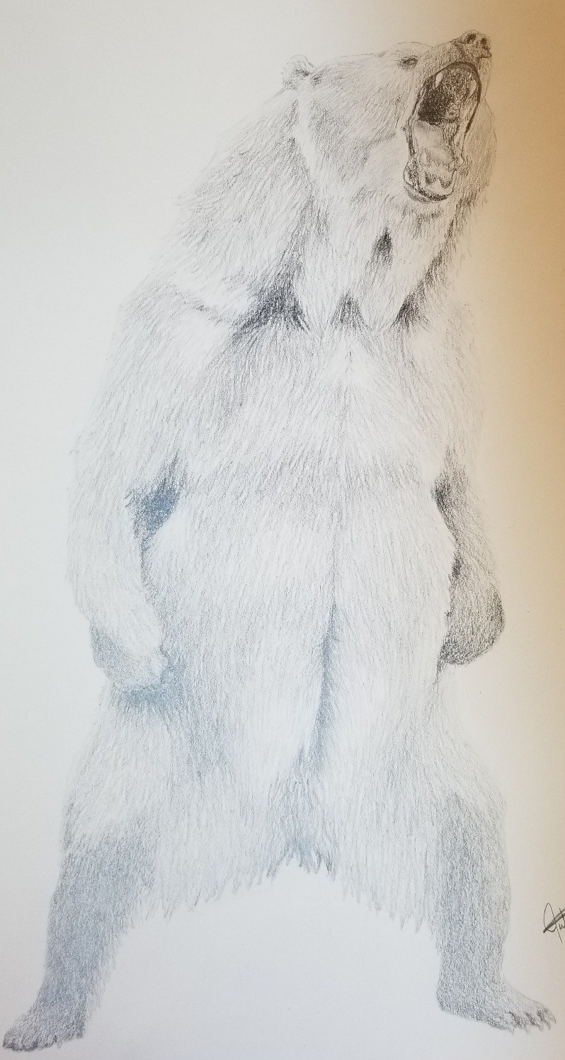 a14d320f36ca1a642aa34b9ab0b10261715fe58a.png