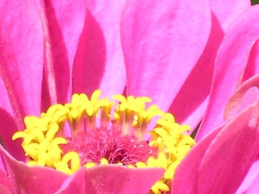 a8c9b9c5aff8ea0b2e70143b576c2bb5d858ac9c.png