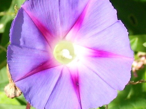 1e785a3fb37e87000dedd640d7d92b68f8a65b4d.png