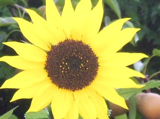 a86833f98626226c0fa5b42f85de332cb04f2a33.png