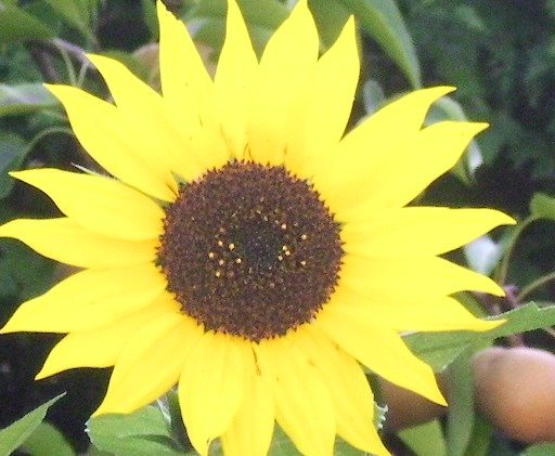 d3ee9091ae24c16be4cb1eede5c582cbfdeb2fb1.png
