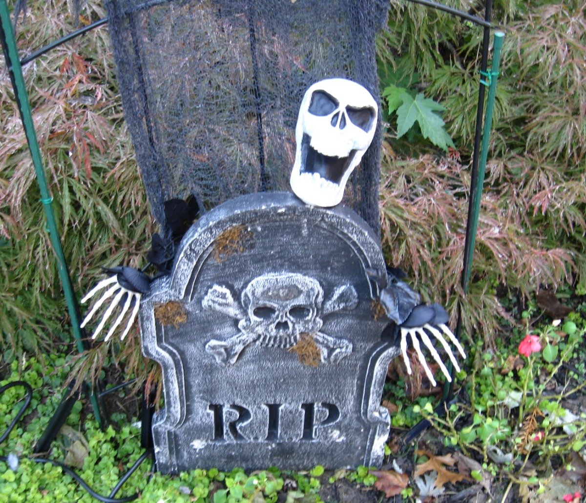 d735eb88ce6e14eef5b7c0816be907410682d063.png