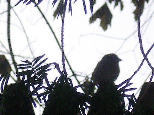 f301befae03a9914bbd34cbfd31e5fdaaa0d3215.png