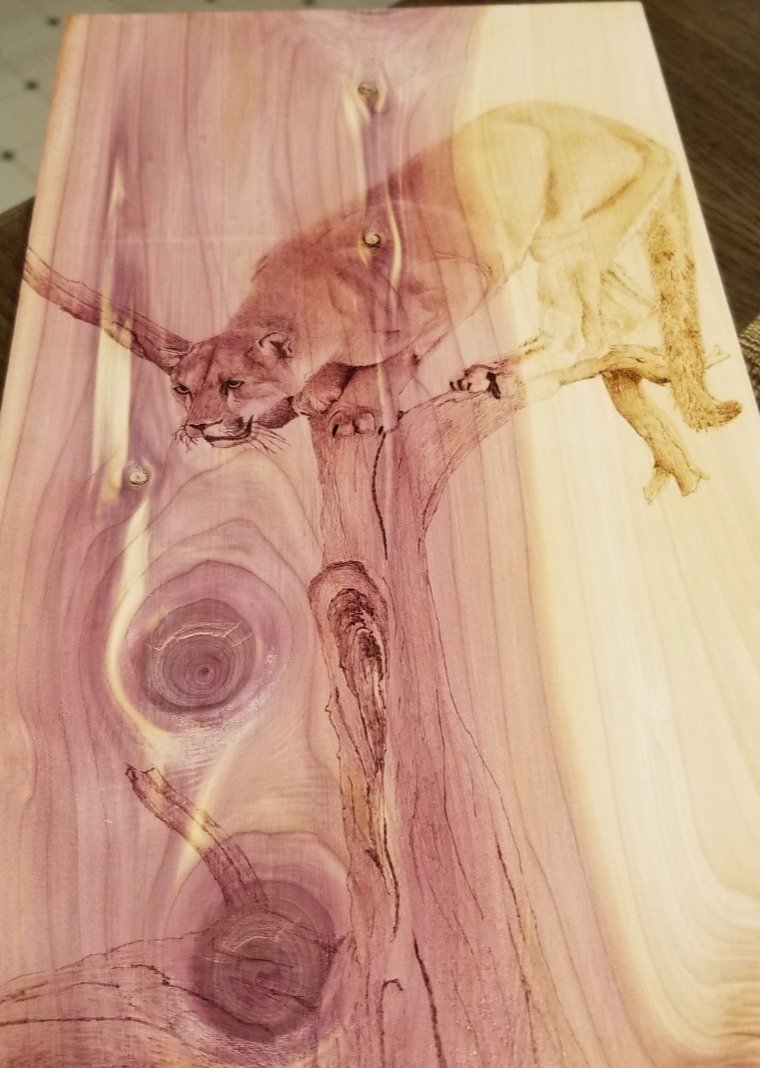 769058b9d338ec4e4e4d7fcf7f514ff04fb5bbbf.png
