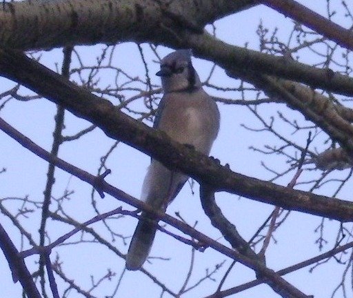 11dd32571a90eb49365b33595c57256ac30ef50b.png