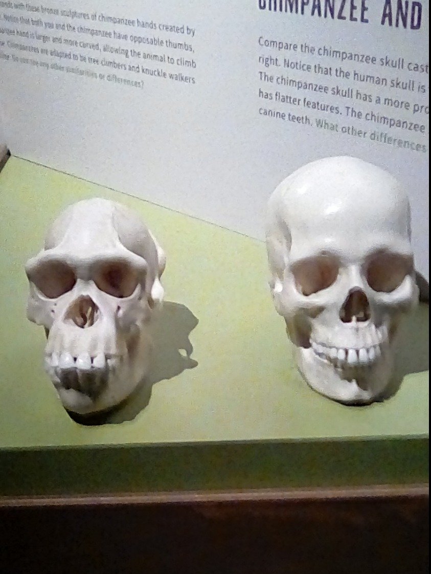 4df70ce52fac4ff75a084f42eff067f78373332a.png