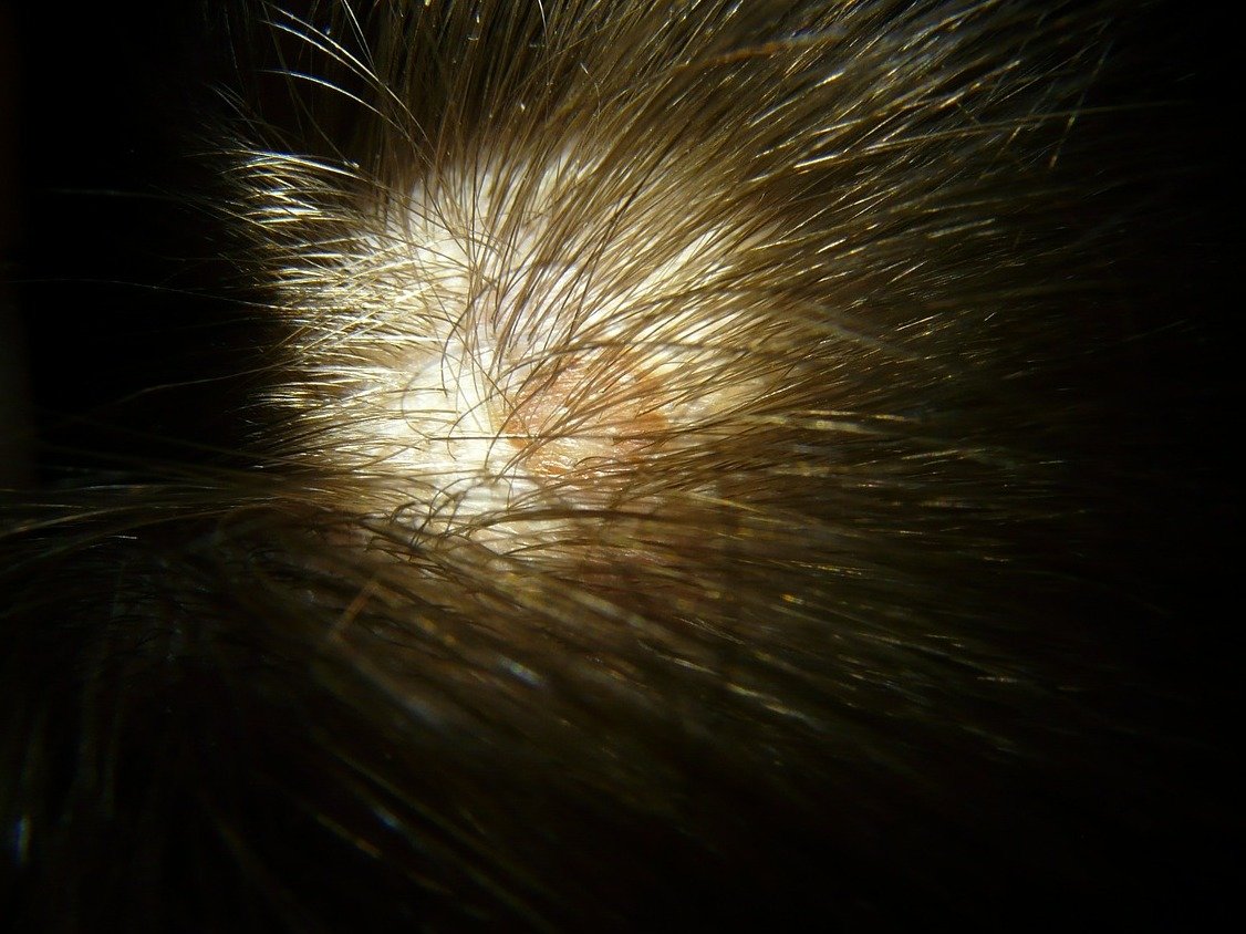 cf70bcd64ed9e4e60b18d5fc40807a65f9c70b78.png