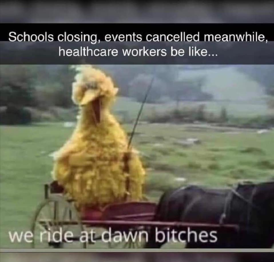 e8d479d9432722bc3dc0a2d3074a4b5dc547933f.png