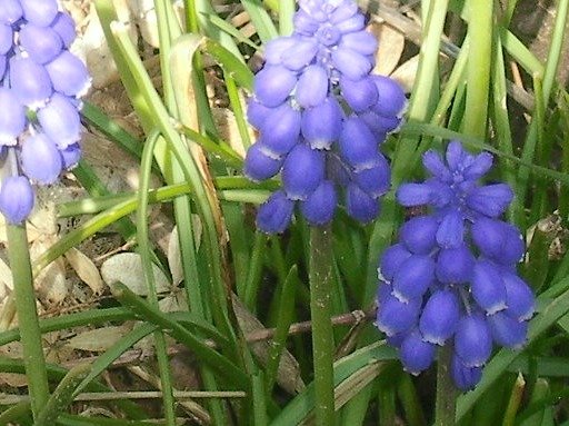188f31ad9bf29c05b5fa841b5d3db4853471c4bf.png