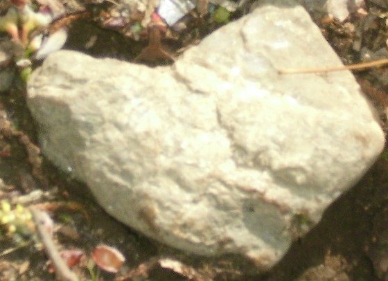 310e90117ec6dbace5885c5b8c2816ce2fce2eb9.png