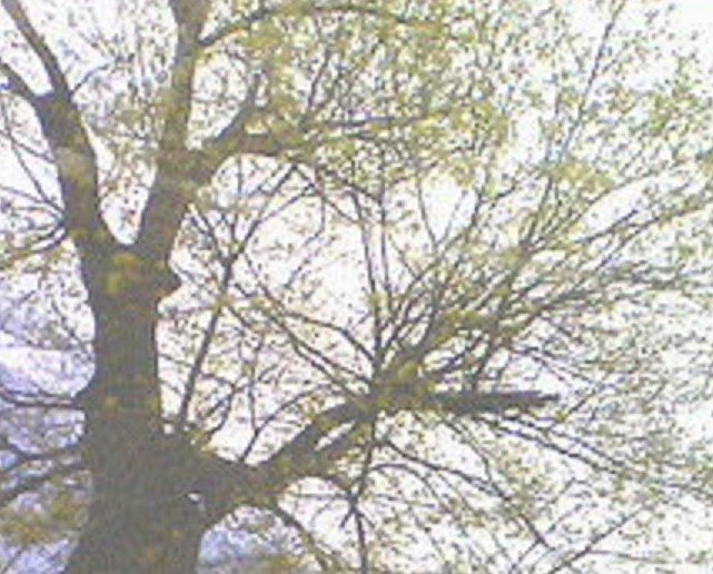 38fdce1e9241ae51d55497cdc7dde23a04829e04.png