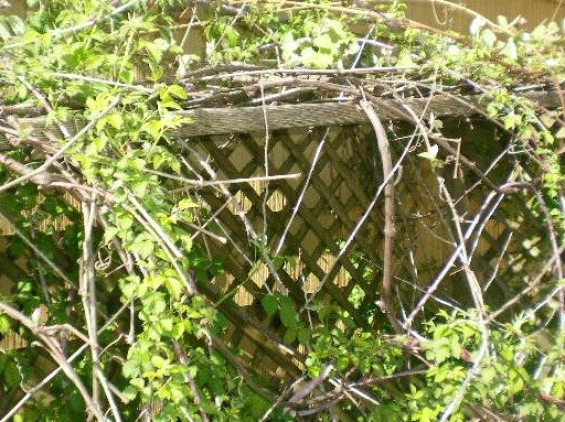 1a1a7662ee66afac879f10ddd16d44c2c1cd8957.png