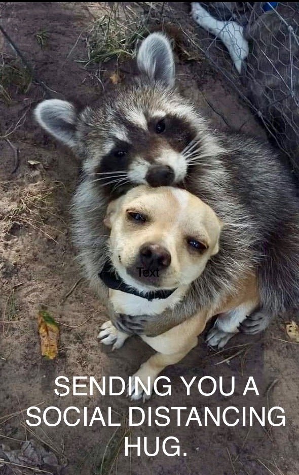 38909b59a6fb4c489074cab7eeb3fe1d0fc7ce28.png