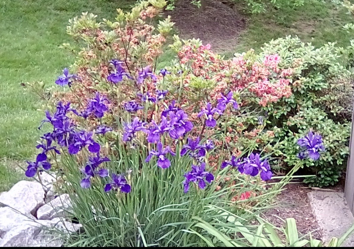 72b15d34010132c9622ec969dc091b303f116b45.png