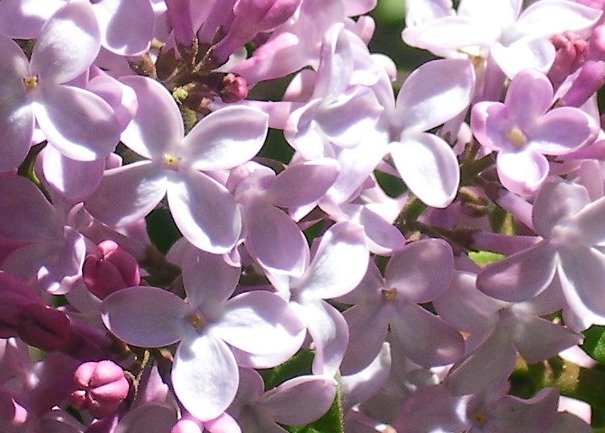 753b80ddf1563d949138bfa5fbdb183962b3e4e9.png