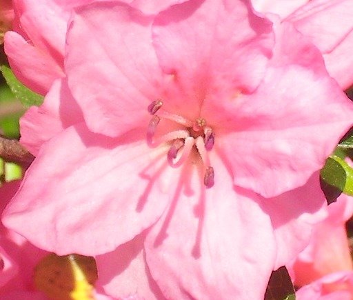 a17d73f3a7bb1ed8a85c5b8b2f6572b99e019e32.png