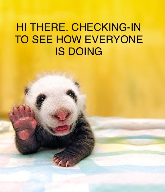 e7d795fd64170bd635ed7cd3f3ab6bc80e6dbb88.png