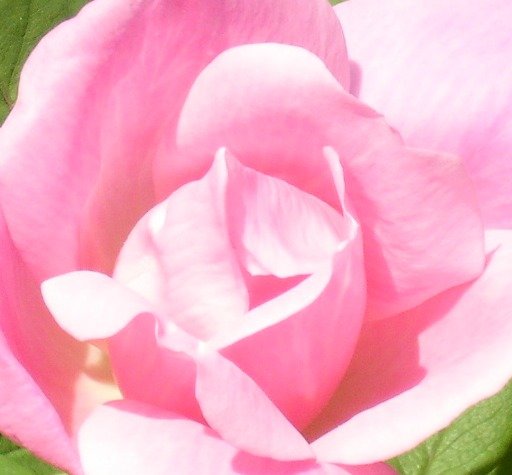 0776050345a49de8904b23db6cb3e84157fc82b1.png
